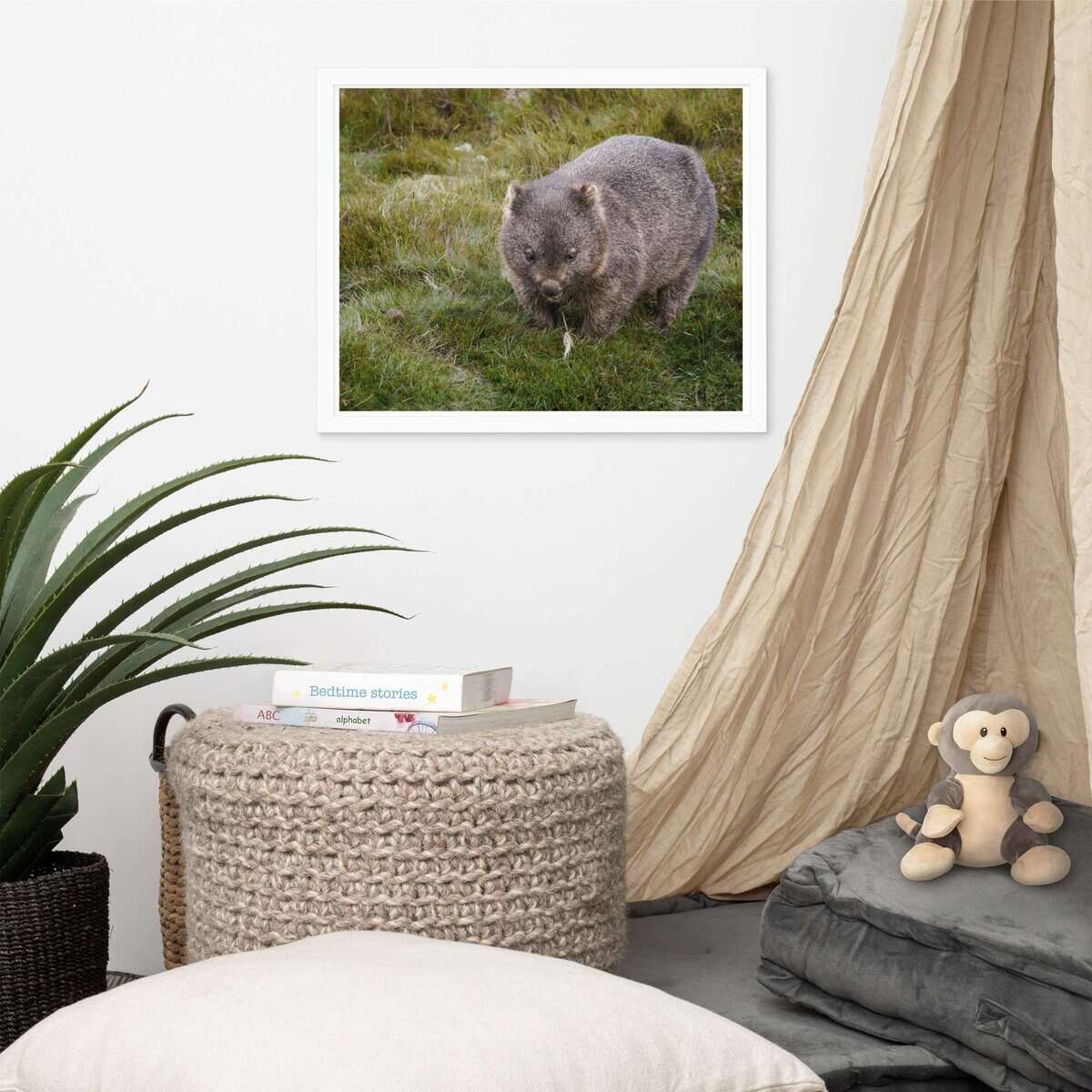 Wandering Wombat - Cradle Mountain, Tasmania - Image 12